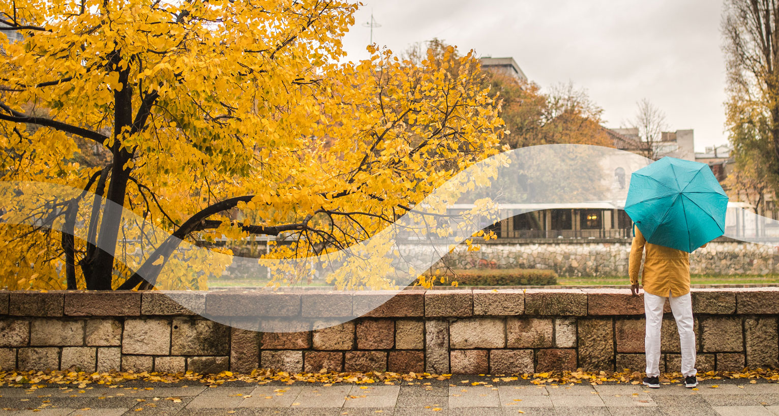 What Is Umbrella Insurance and Do You Need It? WSECU